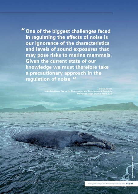 Ocean Noise: Turn it down - Ocean Conservation Research