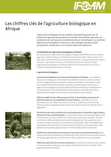 Les chiffres clés de l'agriculture biologique en Afrique - ifoam