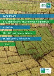 Land tenure and international investments in agriculture [pdf - ifoam