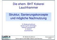 Die ehem. BHT Kokerei Lauchhammer Struktur ...
