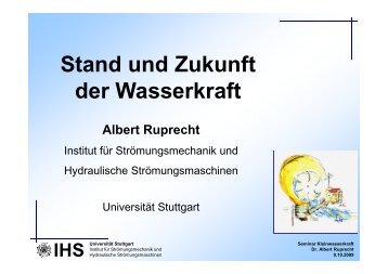 Stand und Zukunft der Wasserkraft - Institut für Strömungsmechanik ...