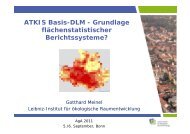 ATKIS Basis-DLM - Grundlage flächenstatistischer Berichtssysteme?