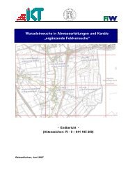 Wurzeleinwuchs in Abwasserleitungen und Kanäle ... - IKT