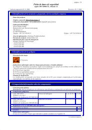 Ficha de datos de seguridad - ILKA-Chemie GmbH