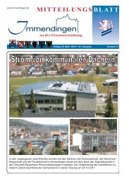 Mitteilungsblatt KW 13 - Immendingen