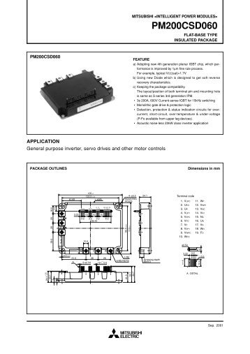 PM200CSD060 - Ineltron