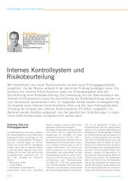 Michael Annen: Internes Kontrollsystem und Risikobeurteilung - TREX