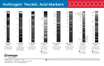 Lam. Marker Card 10-08 - Invitrogen