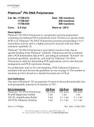 superscript iii platinum invitrogen