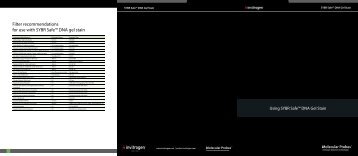 Using SYBR Safe™ DNA Gel Stain - Invitrogen