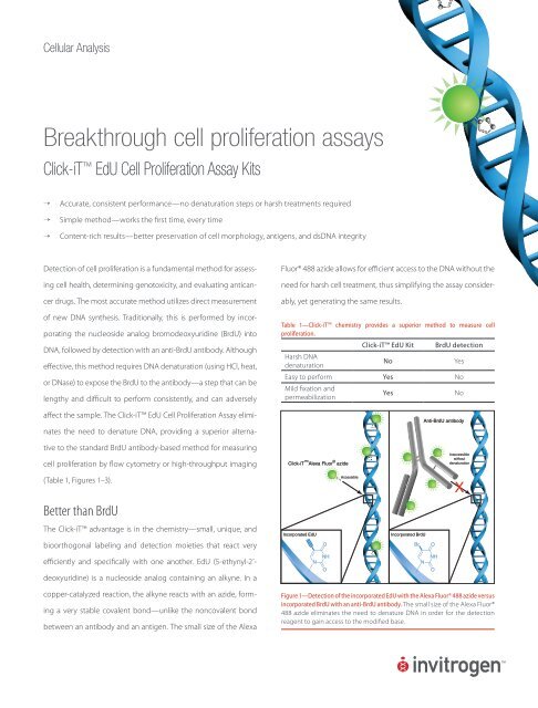 breakthrough cell proliferation assays