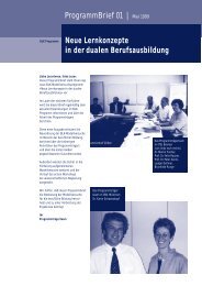 BLK-Programmbrief 01 - Institut Technik und Bildung - Universität ...