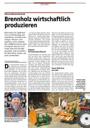 Brennholz wirtschaftlich produzieren