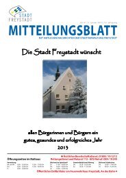 Ausgabe als PDF (10 MB) - Stadt Freystadt
