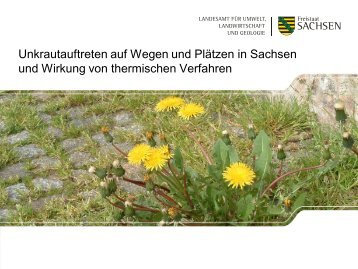 Ralf Dittrich, Sächsisches Landesamt für Umwelt, Landwirtschaft und