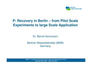 P- Recovery in Berlin – from Pilot Scale Experiments to large Scale ...
