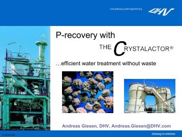 P-recovery with the CrystalactorÒprocess Andreas Giesen, DHV