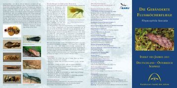 Insekt des Jahres 2013 - Julius Kühn-Institut
