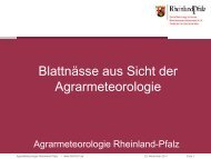 Blattnässemessung aus Sicht der Agrarmeteorologie H. Köhler ...