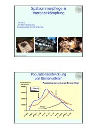 Spätsommerpflege - Landesanstalt für Bienenkunde