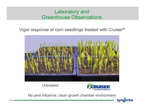 Cruiser®: Exploring the Thiamethoxam Vigor™ Effect - Syngenta