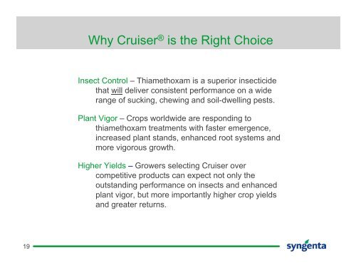 Cruiser®: Exploring the Thiamethoxam Vigor™ Effect - Syngenta