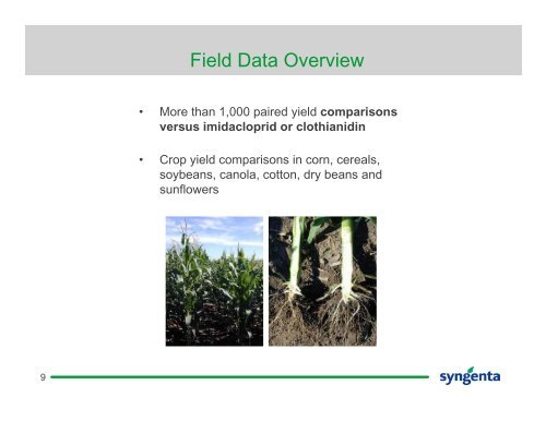 Cruiser®: Exploring the Thiamethoxam Vigor™ Effect - Syngenta