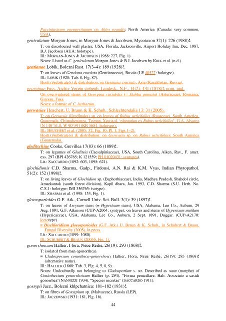 1 Check-list of Cladosporium names Frank M. DUGAN, Konstanze ...