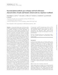 Seasonal photosynthetic gas exchange and leaf ... - Tree Physiology