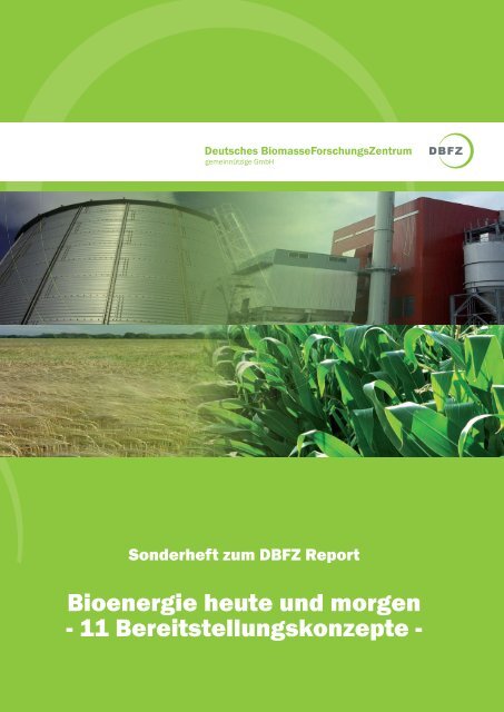„Bioenergie heute und morgen – 11 Bereitstellungskonzepte“ (PDF