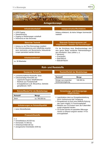 „Bioenergie heute und morgen – 11 Bereitstellungskonzepte“ (PDF