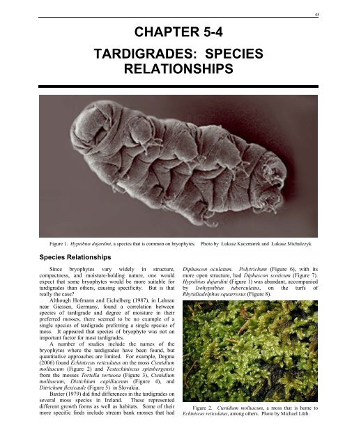 Chapter 5-4: Tardigrades: Species Relationships - Bryophyte Ecology