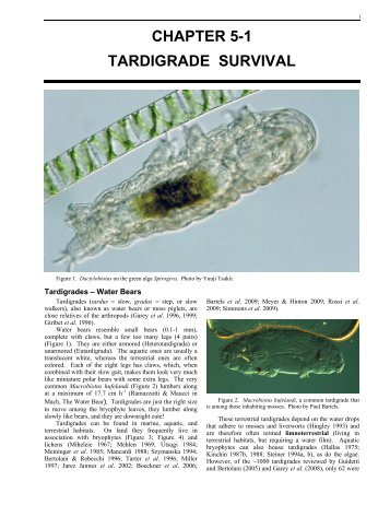 Chapter 5-1: Tardigrade Survival - Bryophyte Ecology