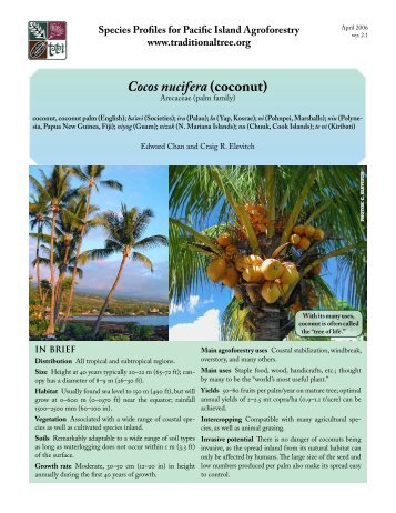 Cocos nucifera (coconut) - Agroforestry Net