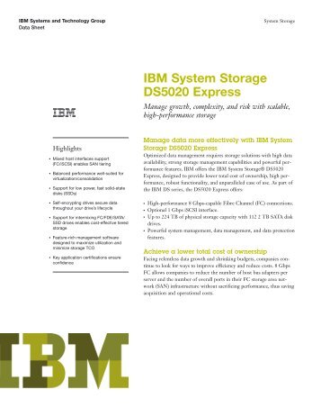 IBM System Storage DS5020 Express - Masstech