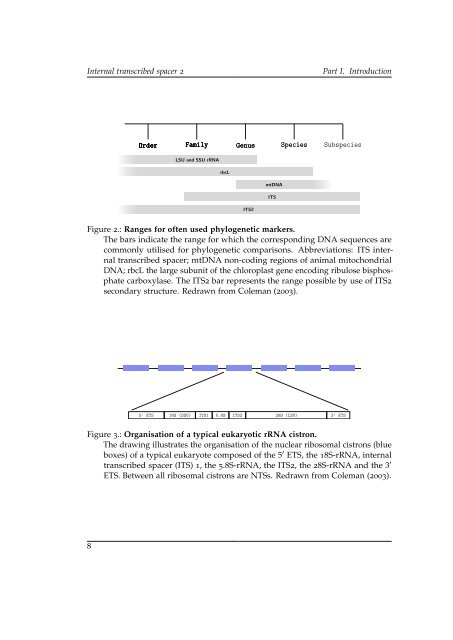 Making the most of phylogeny - OPUS - Universität Würzburg