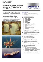 DATASHEET Dual Fuel DF Steam Atomised Burners for FPSO's ...