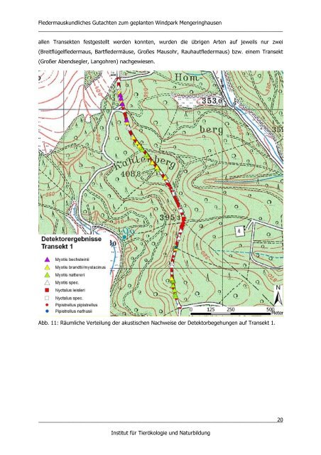 Fledermäuse Mengeringhausen Endbericht 29.02.2012 - Bad Arolsen