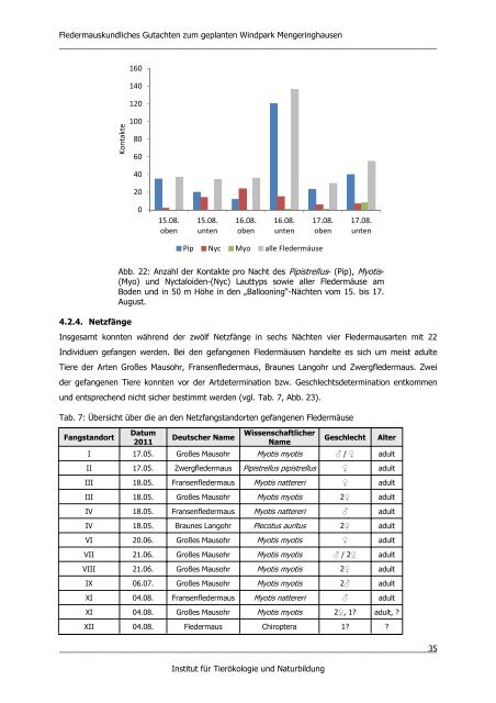 Fledermäuse Mengeringhausen Endbericht 29.02.2012 - Bad Arolsen