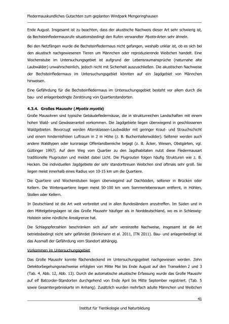 Fledermäuse Mengeringhausen Endbericht 29.02.2012 - Bad Arolsen