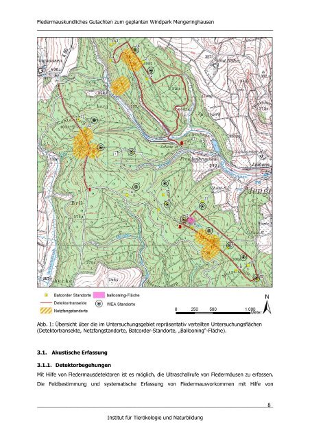 Fledermäuse Mengeringhausen Endbericht 29.02.2012 - Bad Arolsen