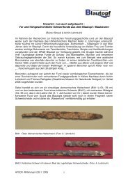 Vor und frühgeschichtliche Schwertfunde aus dem Blautopf