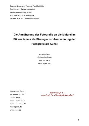 Die Annäherung der Fotografie an die Malerei im - Paun, Christopher