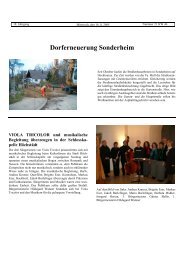 Ausgabe 21 vom 16.11.2005 - Verwaltungsgemeinschaft Höchstädt ...