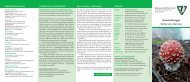 Download PDF - Naturwissenschaftlicher Verein für Bielefeld und ...