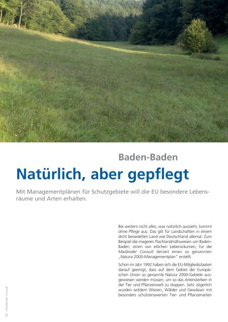 Ausgabe 3 / 2009 - Mailänder Ingenieur Consult GmbH