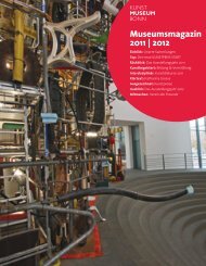 Museumsmagazin 2011 | 2012 - Kunstmuseum Bonn