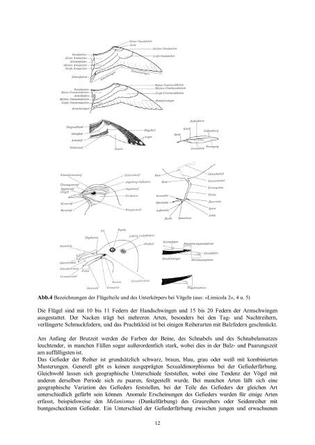 PDF 35.756kB - TOBIAS-lib - Universität Tübingen