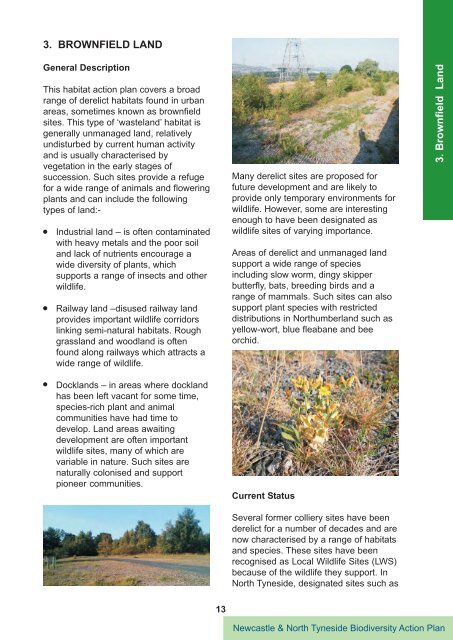 III. Species Action Plans - Newcastle City Council