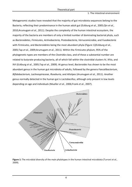 Role of Intestinal Microbiota in Ulcerative Colitis